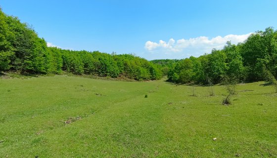 Satılık 6.5 Dönüm Tarla